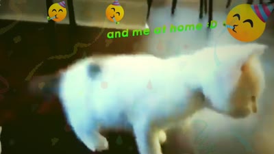 Me in public vs at home by Nescafe`