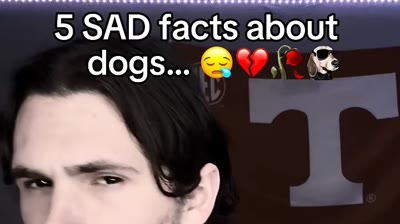 Facts about dog 🐶 (Animals & Nature) by @flashmemes