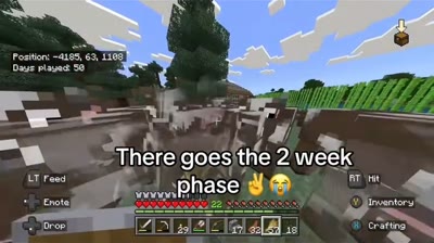 There goes the 2 week minecraft phase 😭💔#memes #funny (Minecraft) by @connorpostsmemes
