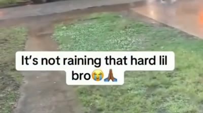 It's not raining that hard lil bro 😭🙏#memes #lol (Wholesome Memes) by @connorpostsmemes