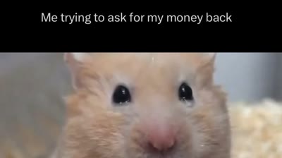 GIMME MY MONEY (İş Dünyası)