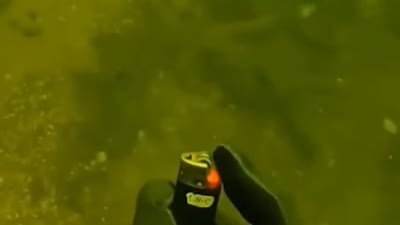 Bro activated 100% brain power underwater 💀 (İnternet Kültürü)