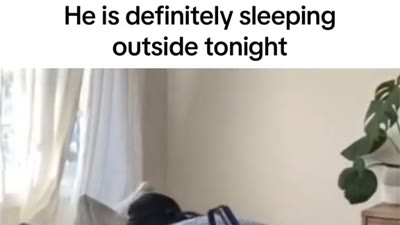 The death stare at the end means bro is sleeping in the yard 💀 (Herzerwärmend)