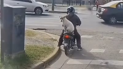 Bro really caught a lift on a motorcycle 💀 (इंटरनेट कल्चर)