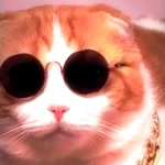 oK4qn's avatar